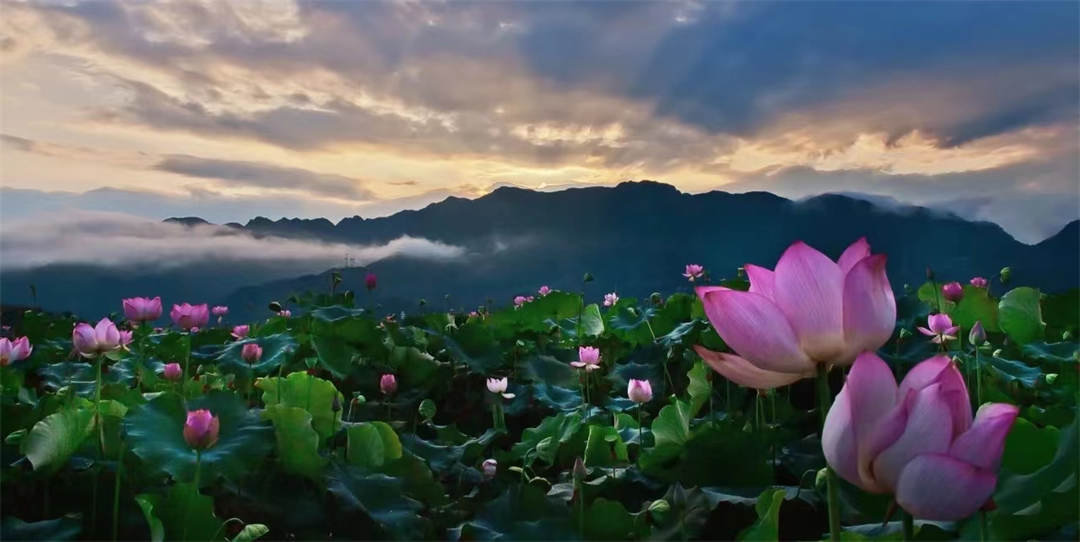 槍林企管分享：領導，你做的合格嗎？